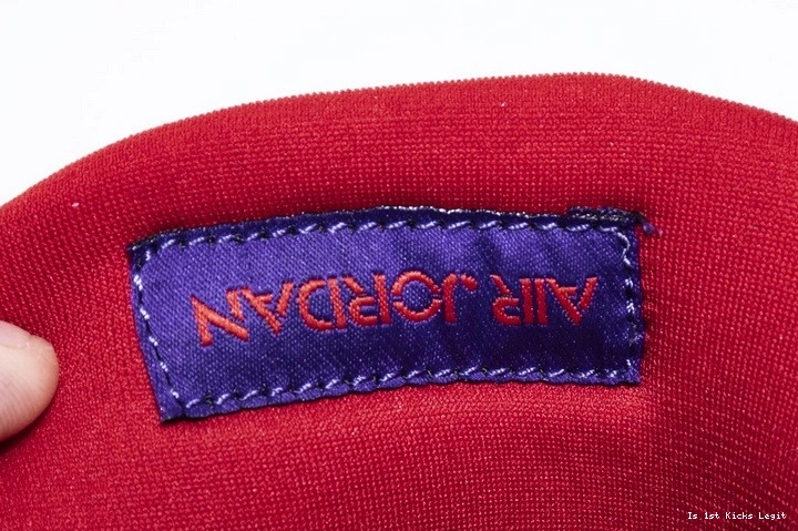 Jordan AQ3816-056 4 Air Raptors 0104